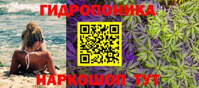 винт Ставрополь