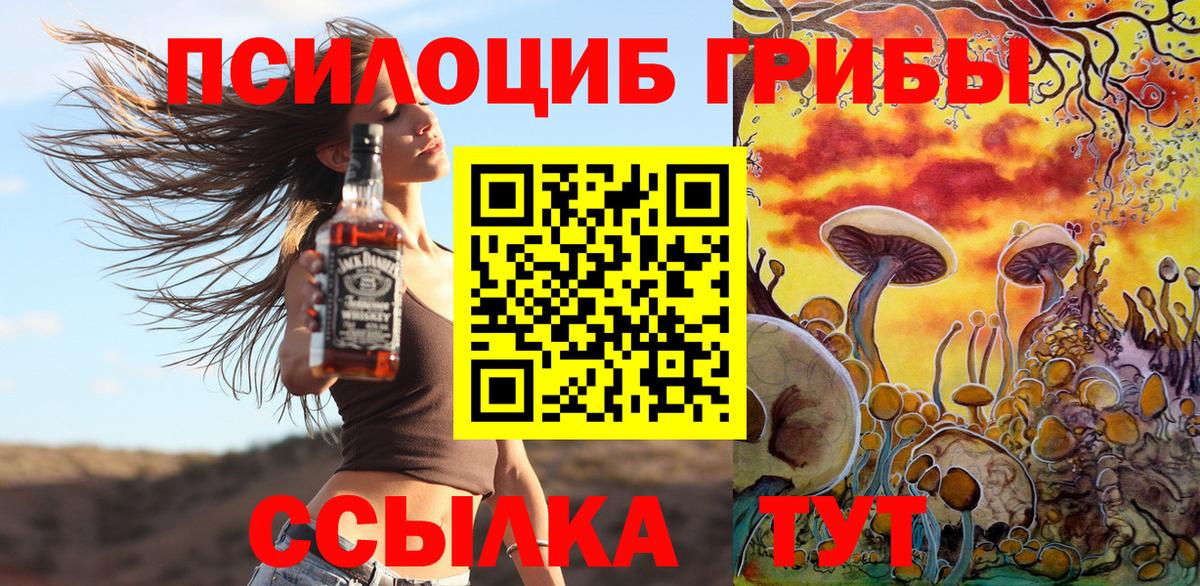 Хабаровск  Псилоцибиновые грибы Psilocybine cubensis  сколько стоит  Вход с VPN 
