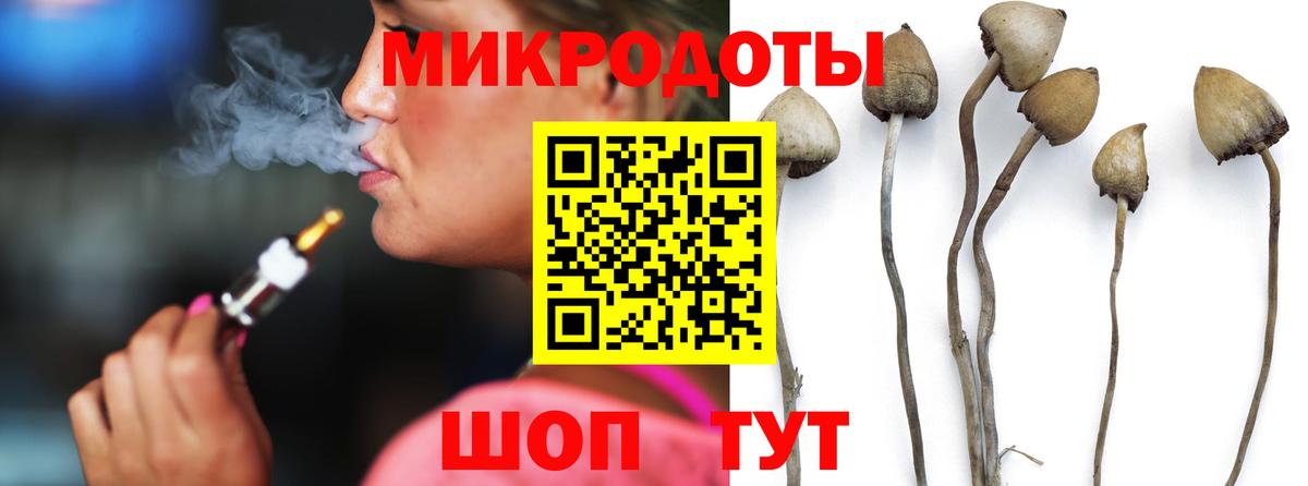 Псилоцибиновые грибы GOLDEN TEACHER Хабаровск